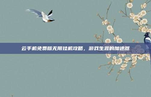 云手机免费版无限挂机攻略,游戏生涯的加速器