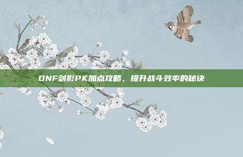 DNF剑影PK加点攻略,提升战斗效率的秘诀