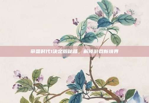 帝国时代1决定版秘籍,解锁游戏新境界
