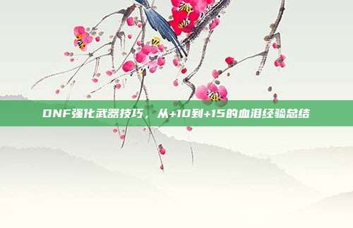 DNF强化武器技巧，从+10到+15的血泪经验总结