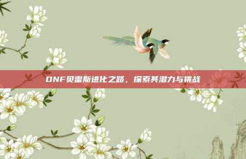 DNF贝雷斯进化之路,探索其潜力与挑战