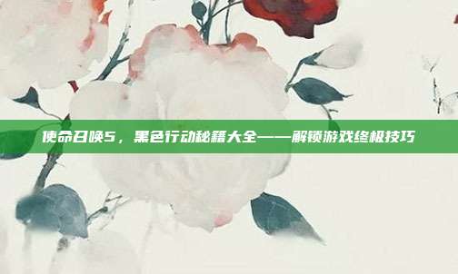 使命召唤5,黑色行动秘籍大全——解锁游戏终极技巧