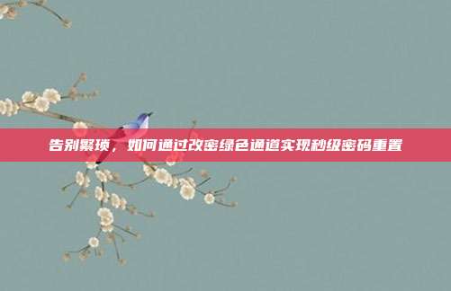 告别繁琐，如何通过改密绿色通道实现秒级密码重置