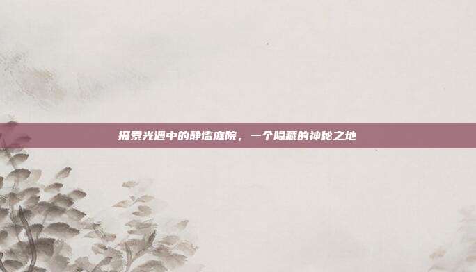 探索光遇中的静谧庭院,一个隐藏的神秘之地
