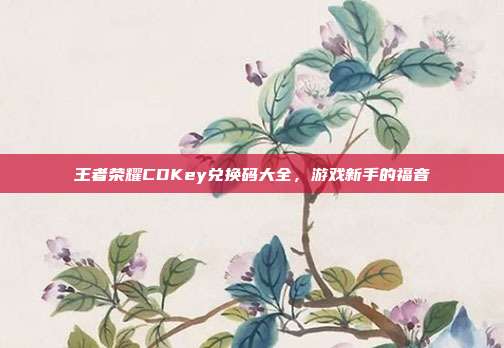 王者荣耀CDKey兑换码大全,游戏新手的福音