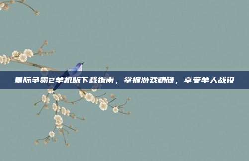 星际争霸2单机版下载指南,掌握游戏精髓,享受单人战役