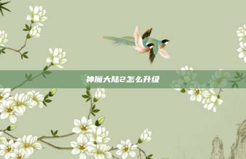 神魔大陆2怎么升级