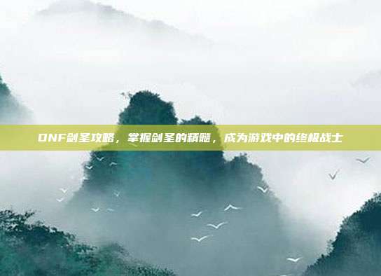 DNF剑圣攻略,掌握剑圣的精髓,成为游戏中的终极战士