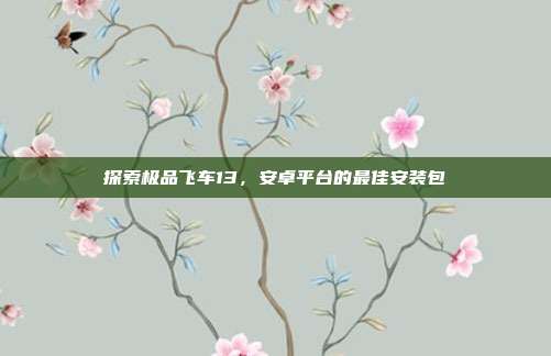 探索极品飞车13，安卓平台的最佳安装包