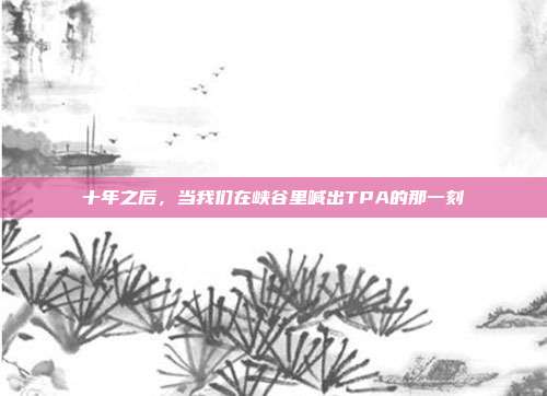 十年之后，当我们在峡谷里喊出TPA的那一刻