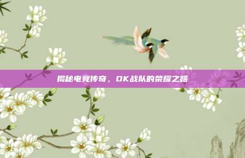 揭秘电竞传奇,DK战队的荣耀之路