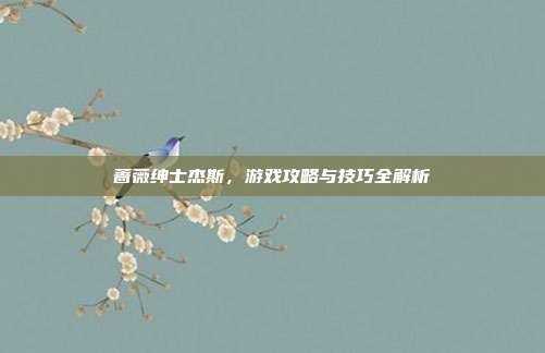 蔷薇绅士杰斯，游戏攻略与技巧全解析