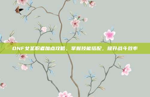 DNF女圣职者加点攻略,掌握技能搭配,提升战斗效率