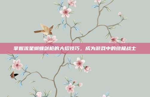 掌握流星蝴蝶剑枪的大招技巧,成为游戏中的终极战士