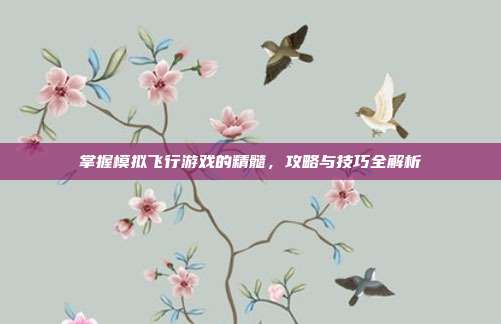 掌握模拟飞行游戏的精髓,攻略与技巧全解析