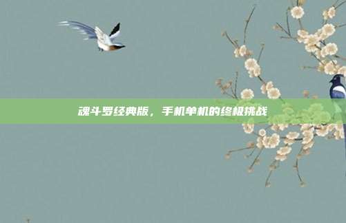魂斗罗经典版，手机单机的终极挑战