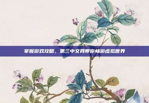 掌握游戏攻略,第三中文网带你畅游虚拟世界