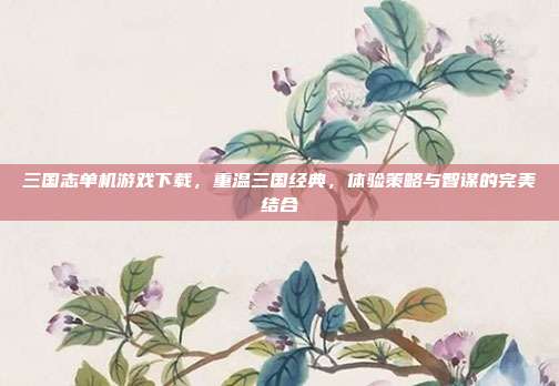 三国志单机游戏下载,重温三国经典,体验策略与智谋的完美结合