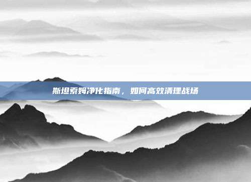 斯坦索姆净化指南，如何高效清理战场