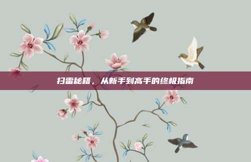 扫雷秘籍，从新手到高手的终极指南
