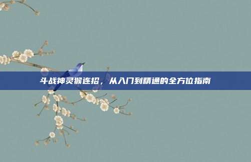 斗战神灵猴连招,从入门到精通的全方位指南