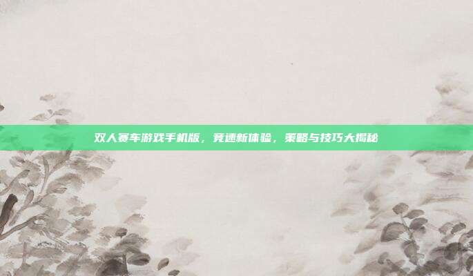双人赛车游戏手机版,竞速新体验,策略与技巧大揭秘