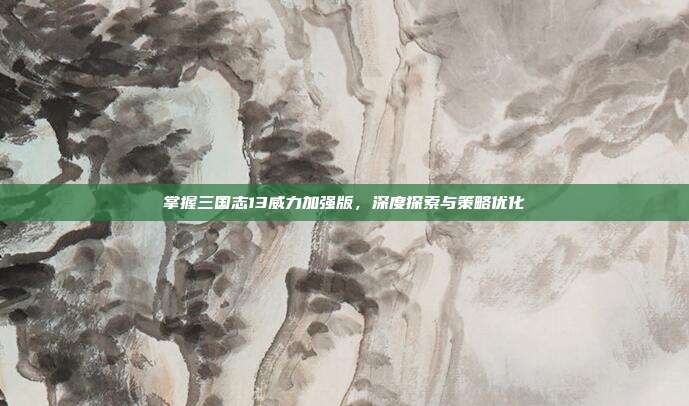 掌握三国志13威力加强版，深度探索与策略优化