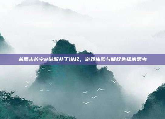 从鹰击长空2破解补丁说起，游戏体验与版权选择的思考