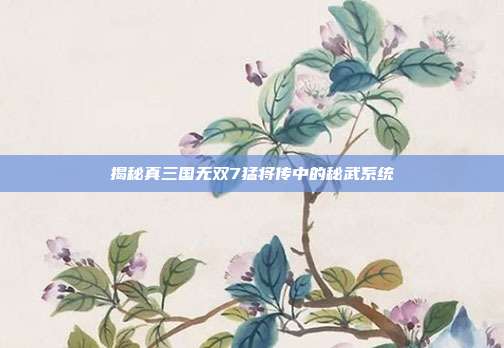 揭秘真三国无双7猛将传中的秘武系统