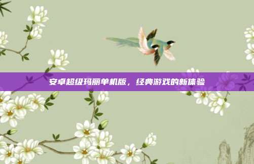 安卓超级玛丽单机版,经典游戏的新体验