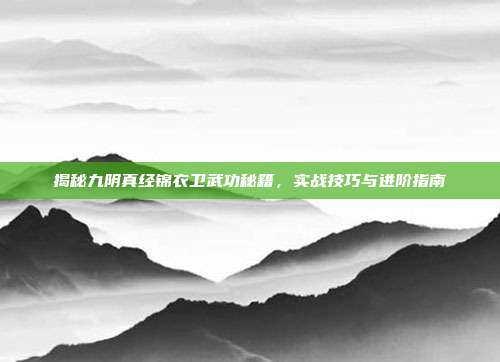 揭秘九阴真经锦衣卫武功秘籍,实战技巧与进阶指南