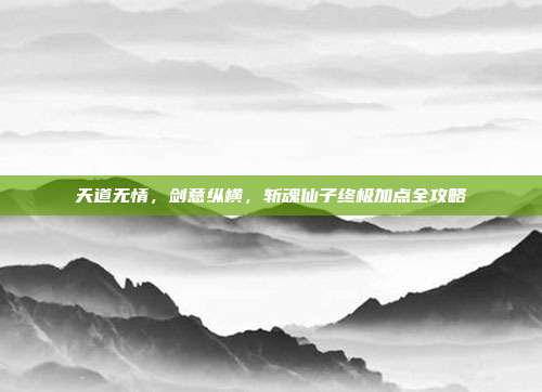天道无情，剑意纵横，斩魂仙子终极加点全攻略