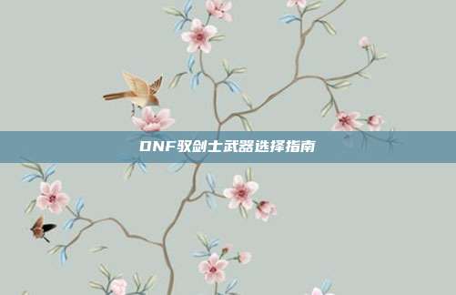 DNF驭剑士武器选择指南