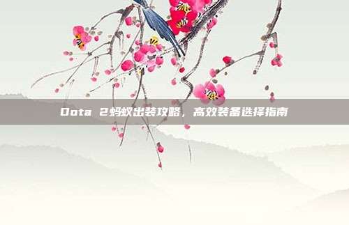 Dota 2蚂蚁出装攻略,高效装备选择指南