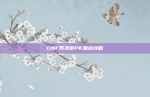 DNF男漫游PK加点攻略