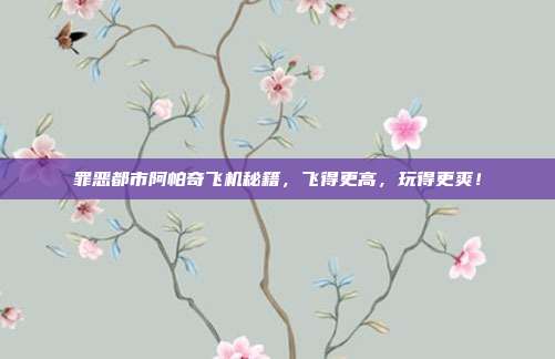 罪恶都市阿帕奇飞机秘籍,飞得更高,玩得更爽!