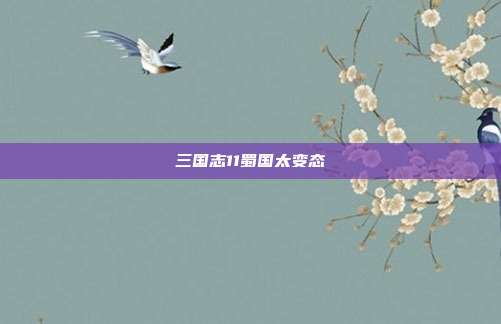 三国志11蜀国太变态