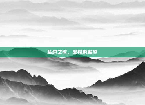 生命之歌，坚韧的触须