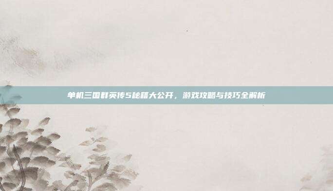 单机三国群英传5秘籍大公开,游戏攻略与技巧全解析