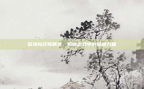 冒险岛双弩精灵,揭秘游戏中的隐藏力量