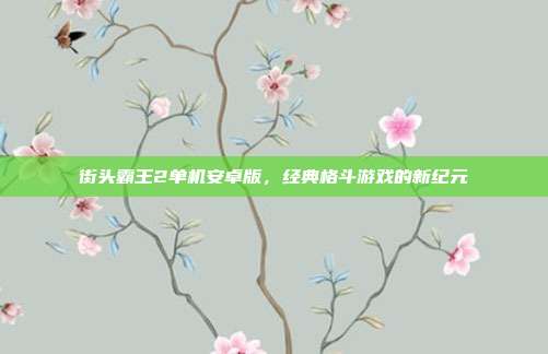 街头霸王2单机安卓版，经典格斗游戏的新纪元