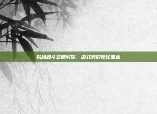 揭秘魂斗罗破解版，游戏界的隐秘宝藏