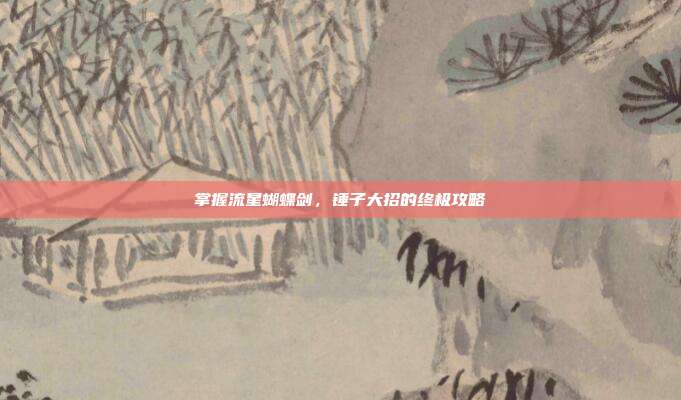 掌握流星蝴蝶剑,锤子大招的终极攻略