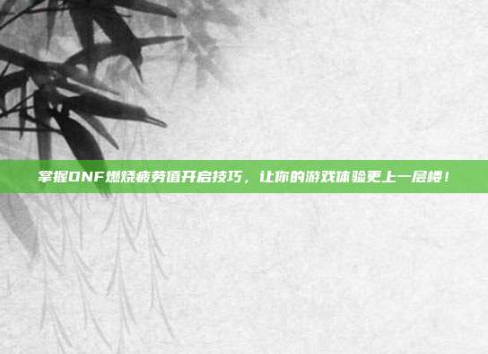 掌握DNF燃烧疲劳值开启技巧,让你的游戏体验更上一层楼!