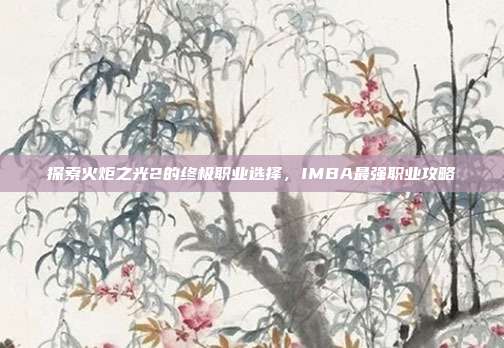 探索火炬之光2的终极职业选择,IMBA最强职业攻略
