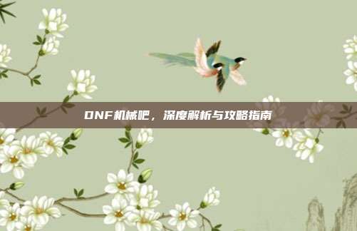 DNF机械吧,深度解析与攻略指南