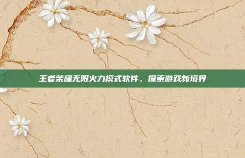 王者荣耀无限火力模式软件,探索游戏新境界