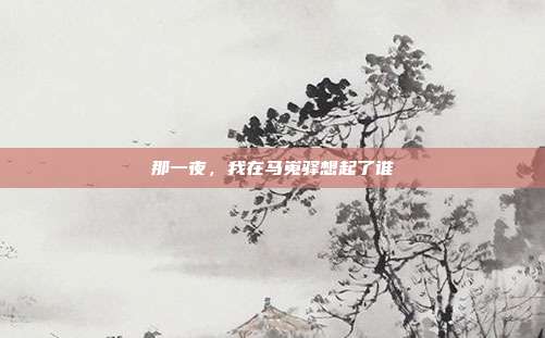 那一夜，我在马嵬驿想起了谁