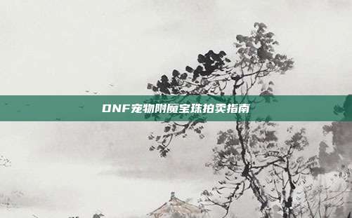 DNF宠物附魔宝珠拍卖指南