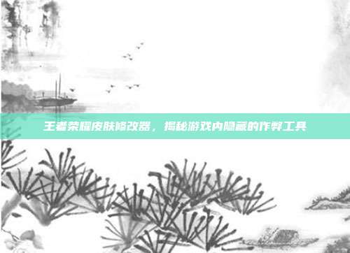 王者荣耀皮肤修改器,揭秘游戏内隐藏的作弊工具